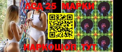 индика Жуковский