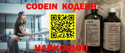 индика Жуковский